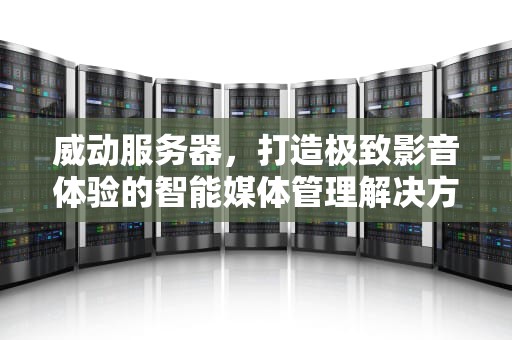 威动服务器，打造极致影音体验的智能媒体管理解决方案，威动服务器使用方法