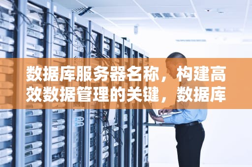 数据库服务器名称，构建高效数据管理的关键，数据库服务器名称怎么查