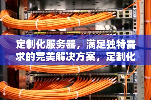 定制化服务器，满足独特需求的完美解决方案，定制化服务器 科技公司