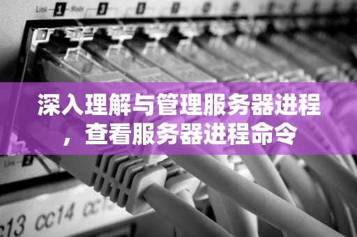 深入理解与管理服务器进程，查看服务器进程命令