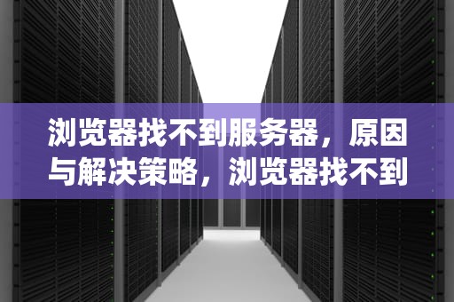 浏览器找不到服务器，原因与解决策略，浏览器找不到服务器的ip地址