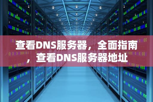 查看DNS服务器，全面指南，查看DNS服务器地址