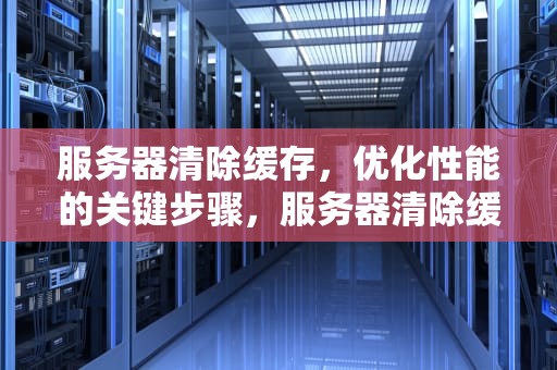 服务器清除缓存，优化性能的关键步骤，服务器清除缓存命令