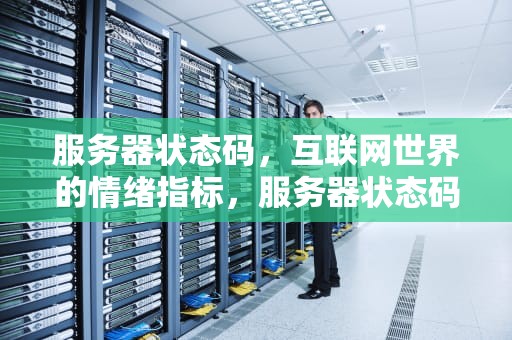 服务器状态码，互联网世界的情绪指标，服务器状态码有哪些