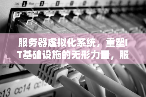 服务器虚拟化系统，重塑IT基础设施的无形力量，服务器虚拟化系统有哪些