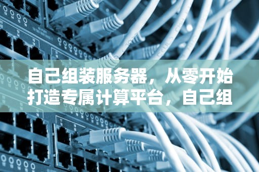 自己组装服务器，从零开始打造专属计算平台，自己组装服务器主机