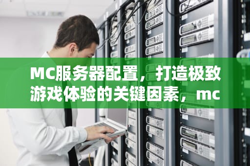 MC服务器配置，打造极致游戏体验的关键因素，mc服务器配置要求