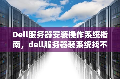 Dell服务器安装操作系统指南，dell服务器装系统找不到硬盘