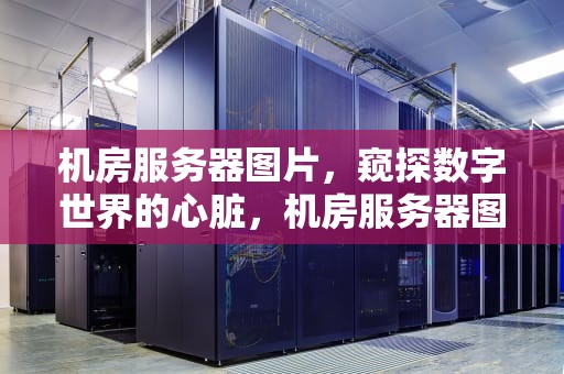 机房服务器图片，窥探数字世界的心脏，机房服务器图片大全