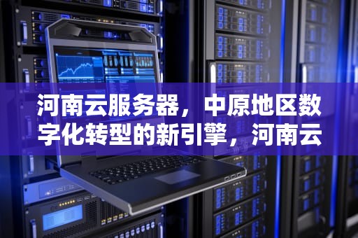河南云服务器，中原地区数字化转型的新引擎，河南云服务器提供商