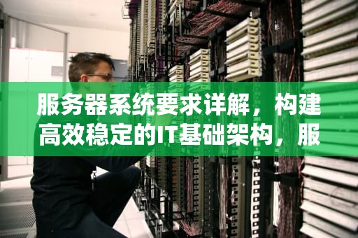 服务器系统要求详解，构建高效稳定的IT基础架构，服务器系统要求有哪些