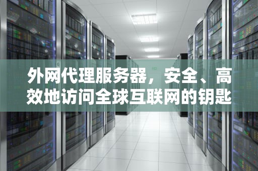 外网代理服务器，安全、高效地访问全球互联网的钥匙，外网代理服务器网站