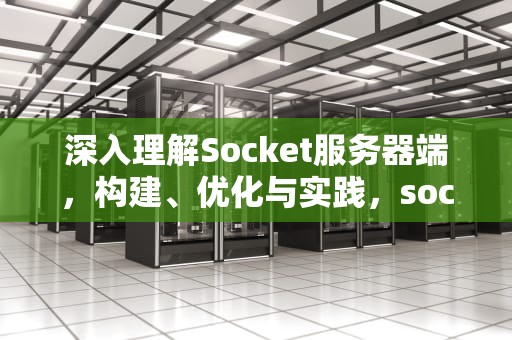 深入理解Socket服务器端，构建、优化与实践，socket服务器端的代码
