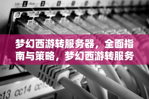 梦幻西游转服务器，全面指南与策略，梦幻西游转服务器需要多少钱