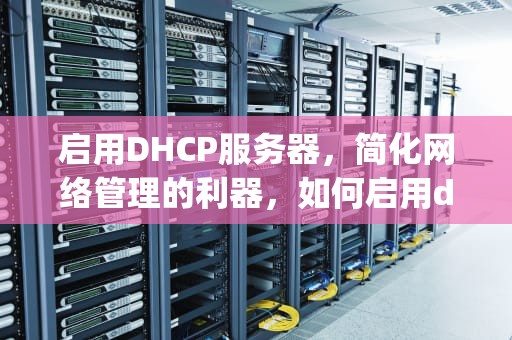 启用DHCP服务器，简化网络管理的利器，如何启用dhcp服务器