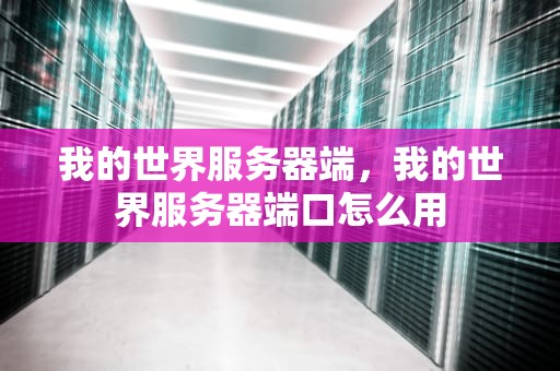我的世界服务器端，我的世界服务器端口怎么用