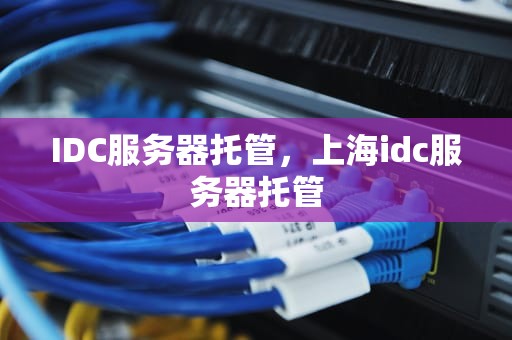 IDC服务器托管，上海idc服务器托管