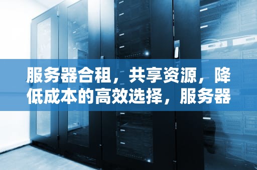 服务器合租，共享资源，降低成本的高效选择，服务器合租面板