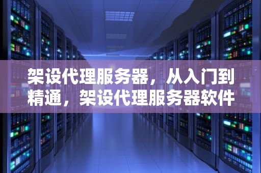 架设代理服务器，从入门到精通，架设代理服务器软件