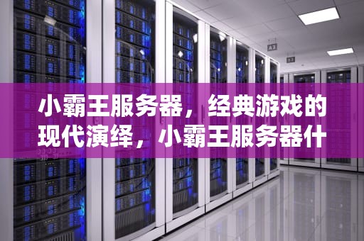 小霸王服务器，经典游戏的现代演绎，小霸王服务器什么意思