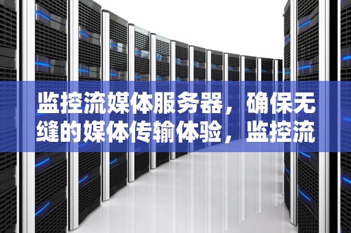 监控流媒体服务器，确保无缝的媒体传输体验，监控流媒体服务器的搭建和使用