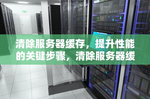 清除服务器缓存，提升性能的关键步骤，清除服务器缓存命令