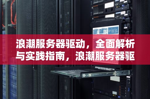 浪潮服务器驱动，全面解析与实践指南，浪潮服务器驱动下载官网