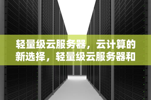 轻量级云服务器，云计算的新选择，轻量级云服务器和云服务器ecs