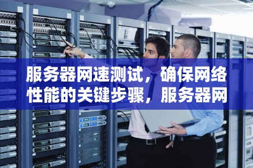 服务器网速测试，确保网络性能的关键步骤，服务器网速测试脚本