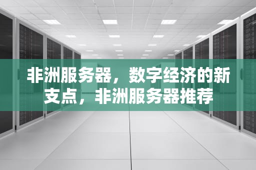 非洲服务器，数字经济的新支点，非洲服务器推荐