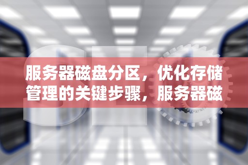 服务器磁盘分区，优化存储管理的关键步骤，服务器磁盘分区怎么分