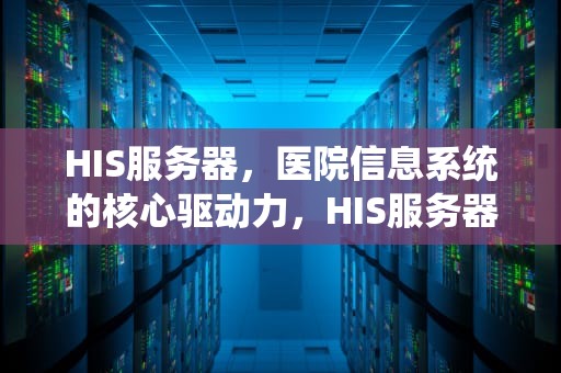 HIS服务器，医院信息系统的核心驱动力，HIS服务器是什么意思