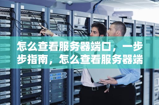 怎么查看服务器端口，一步步指南，怎么查看服务器端口号