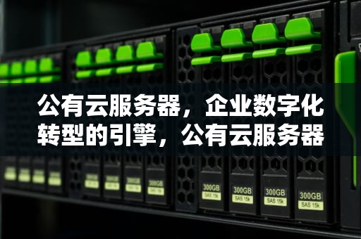 公有云服务器，企业数字化转型的引擎，公有云服务器的申请流程