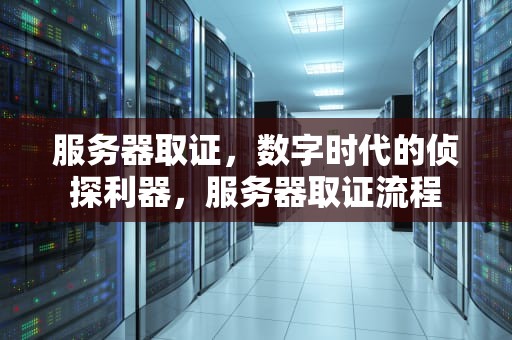 服务器取证，数字时代的侦探利器，服务器取证流程