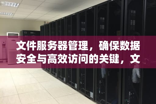 文件服务器管理，确保数据安全与高效访问的关键，文件服务器管理系统