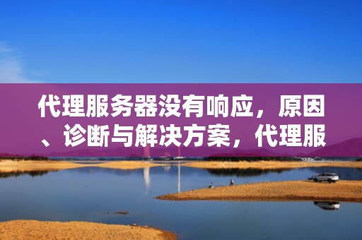 代理服务器没有响应，原因、诊断与解决方案，代理服务器没有响应怎么处理
