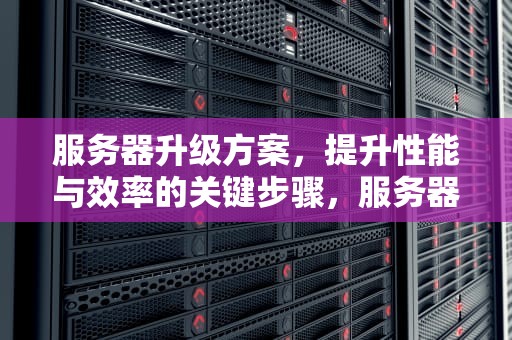 服务器升级方案，提升性能与效率的关键步骤，服务器升级方案怎么写
