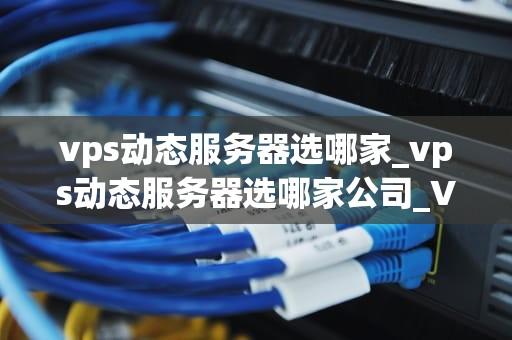 vps动态服务器选哪家_vps动态服务器选哪家公司_VPS动态服务器选哪家？——全面比较与分析