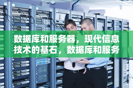 数据库和服务器，现代信息技术的基石，数据库和服务器有什么区别