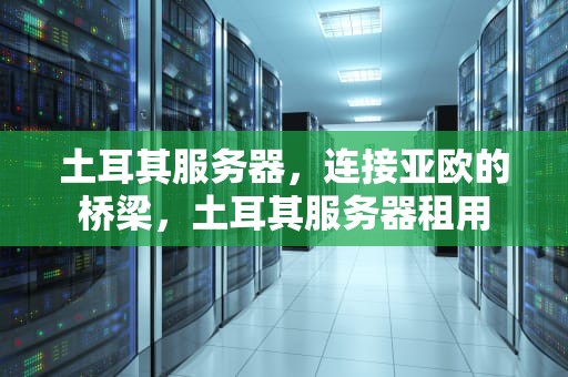 土耳其服务器，连接亚欧的桥梁，土耳其服务器租用