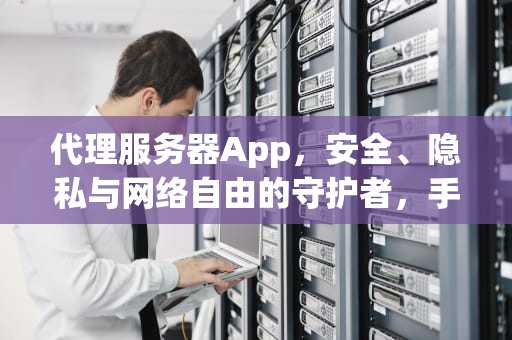 代理服务器App，安全、隐私与网络自由的守护者，手机代理服务器app