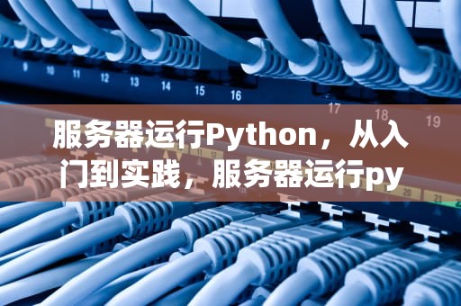 服务器运行Python，从入门到实践，服务器运行python代码
