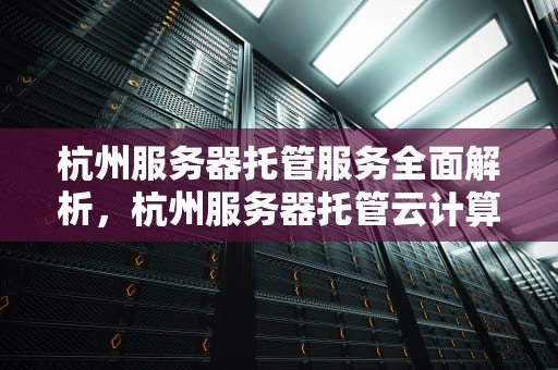 杭州服务器托管服务全面解析，杭州服务器托管云计算公司