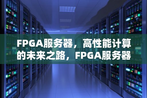 FPGA服务器，高性能计算的未来之路，FPGA服务器