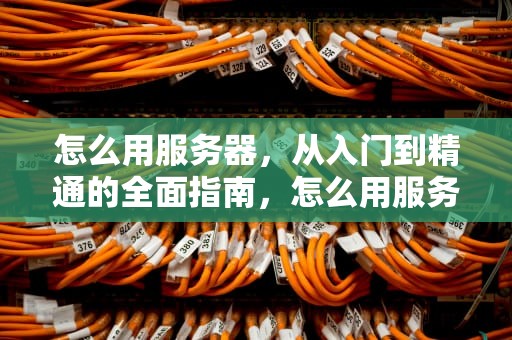 怎么用服务器，从入门到精通的全面指南，怎么用服务器跑代码