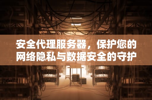安全代理服务器，保护您的网络隐私与数据安全的守护者，安全代理服务器是什么
