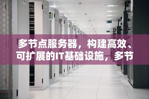 多节点服务器，构建高效、可扩展的IT基础设施，多节点服务器什么意思
