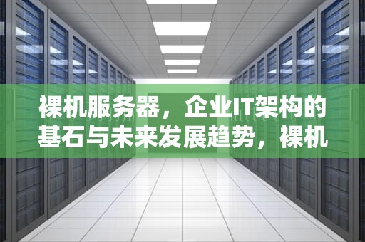 裸机服务器，企业IT架构的基石与未来发展趋势，裸机服务器规格创建方法
