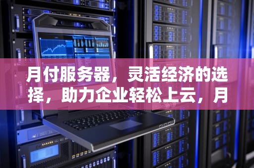 月付服务器，灵活经济的选择，助力企业轻松上云，月付服务器租用